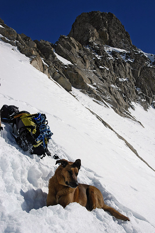 La Pause : ....... et Django m'attends là !
