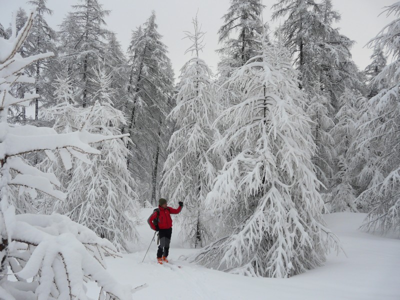 Tête de Fouran : ambiance hivernale