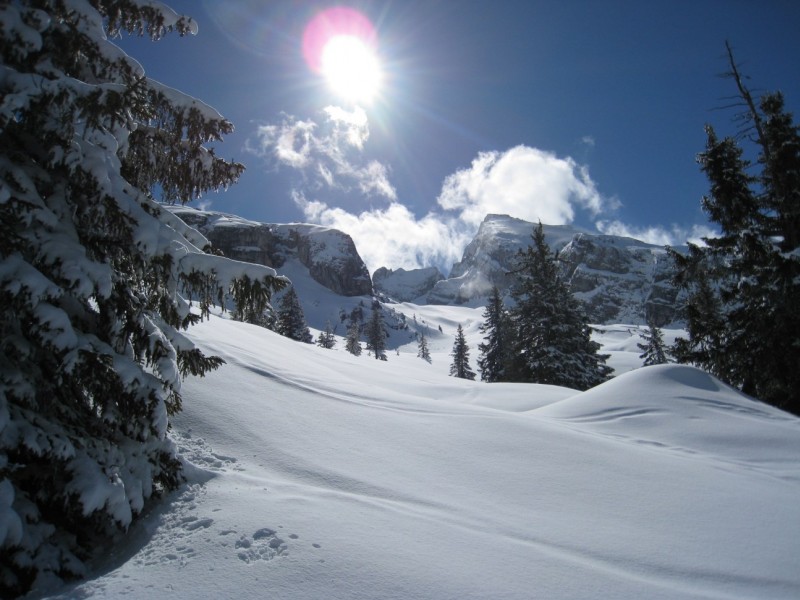 Combe de Chombas : Paysage magique.. ca ressemble à l'hiver