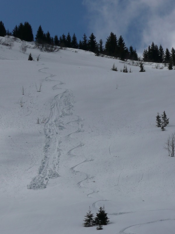 coulée de neige lourde (30cm) : combe du chalet de la grande montagne du verneil.