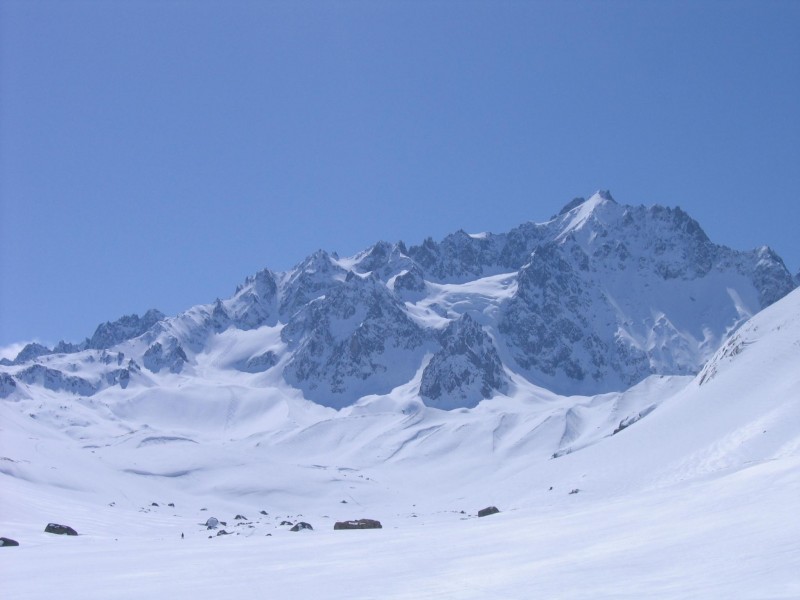 Ambiance Alaska en "monta : Les Agneaux, pas si doux que ça ...