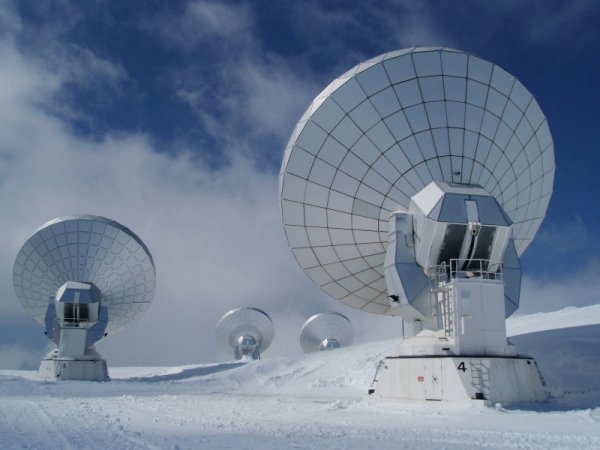 Oreilles : Les grandes oreilles du sommet