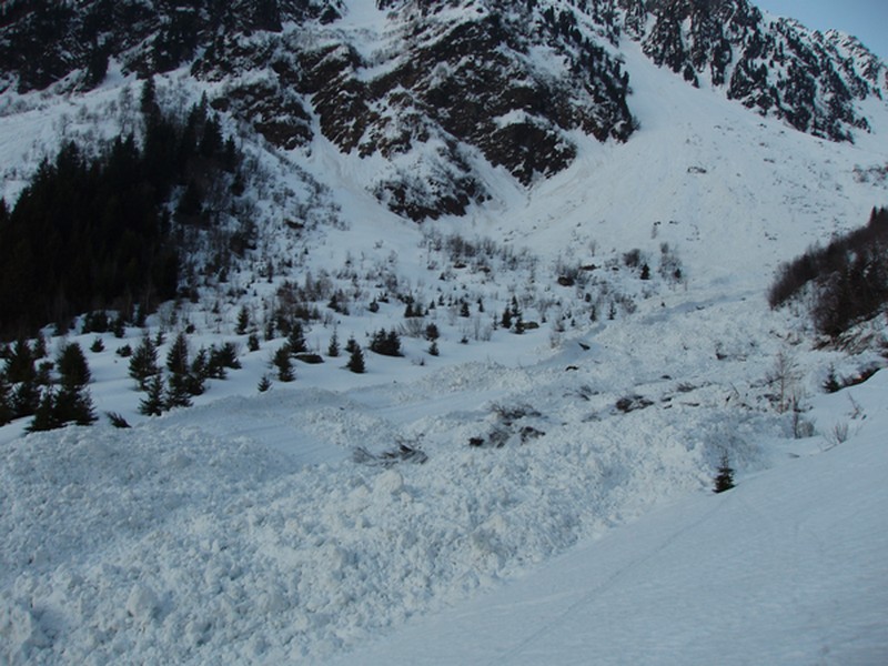 avalanche vallon de la vallett : le vallon a été ravagé par la coulée