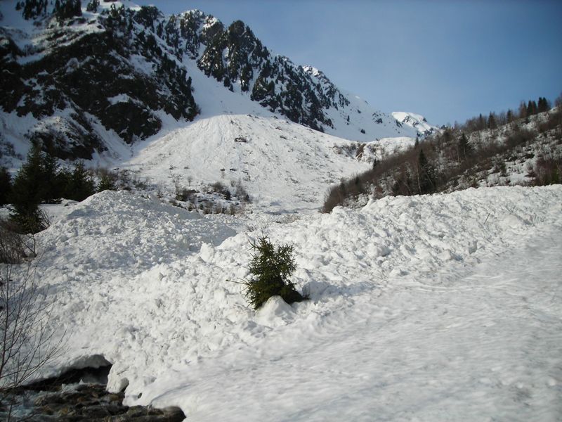 Avalanche ancienne : Sous les Clochers des Pères. Un vrai snowpark.