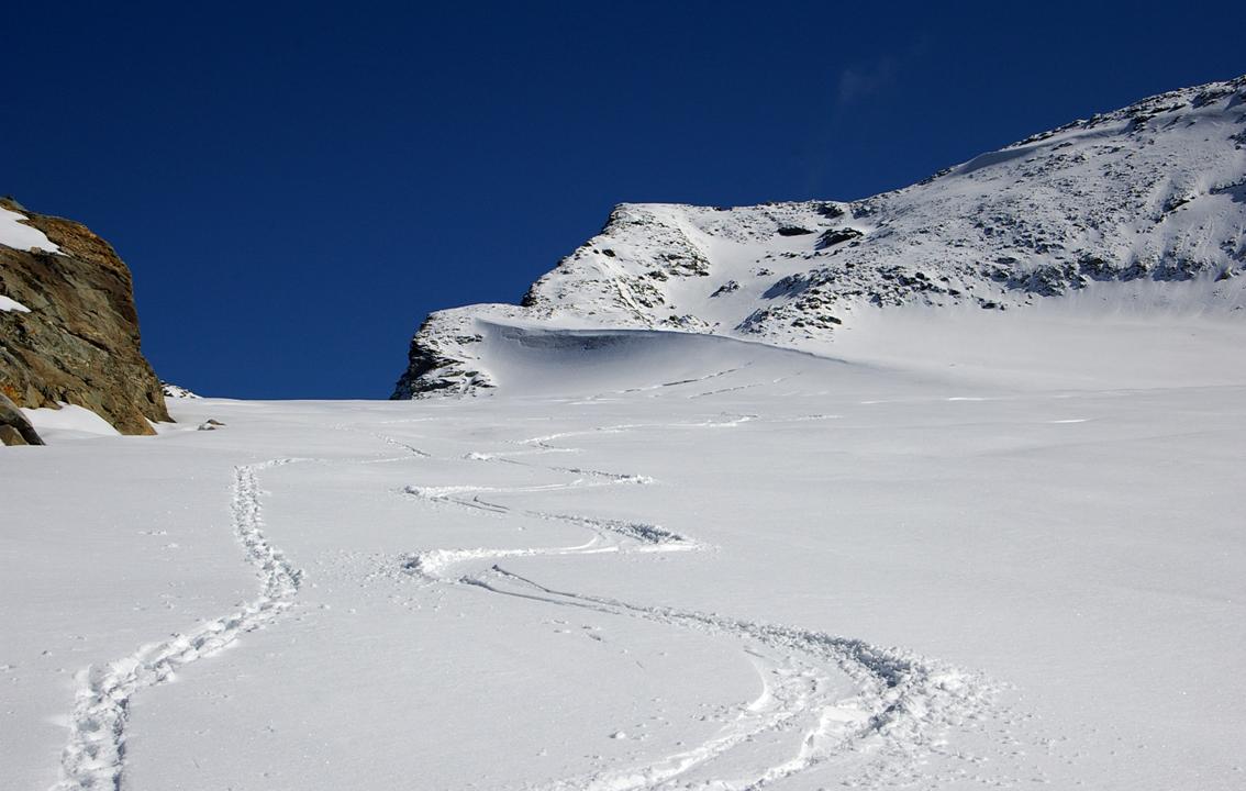 Neige d'automne : Celle-ci... elle est de même qualité qu'au printemps... avec + de vigilence, car les pots sont ouverts.
