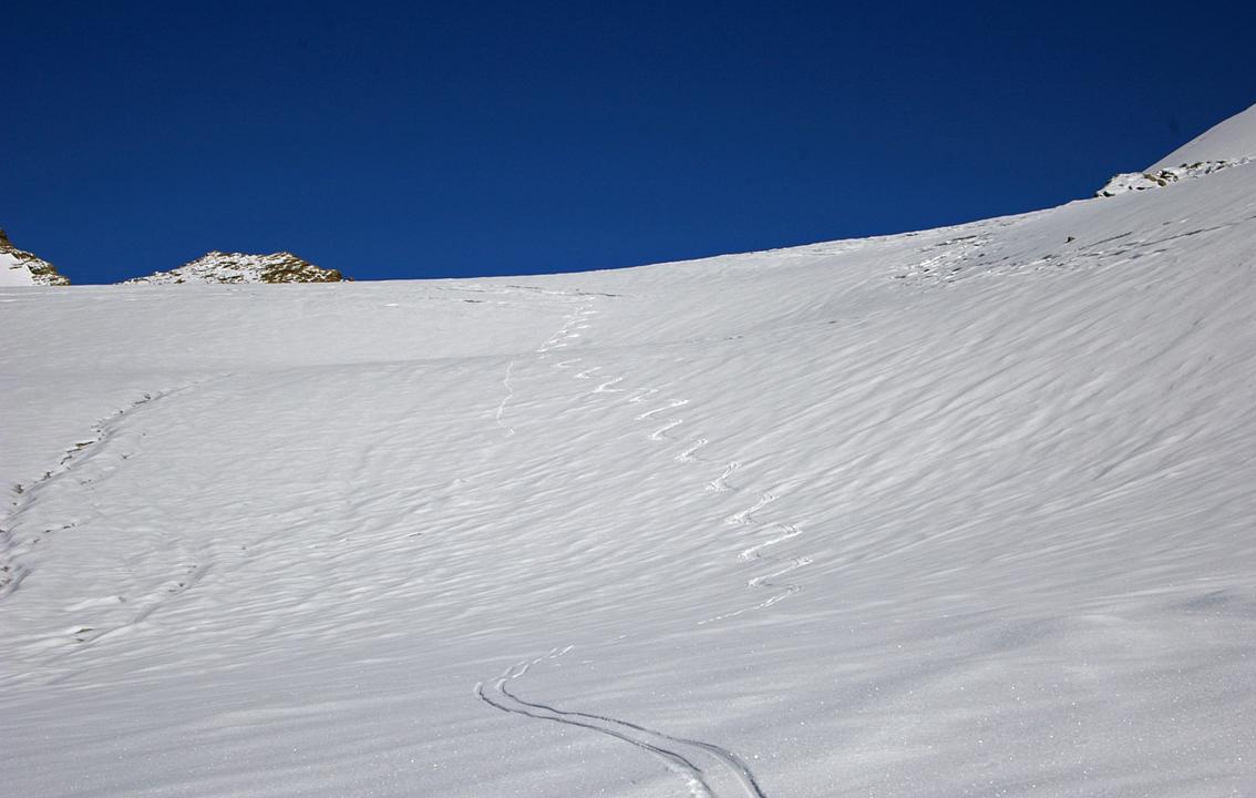 La grande combe centrale : Quelques courbes pour habiter le glacier ... où ne vivent habituellement que les chamois.