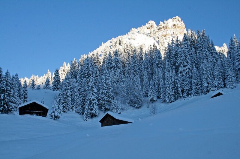 Roc des Arces : les chalets de Covalleux vers 1600 m