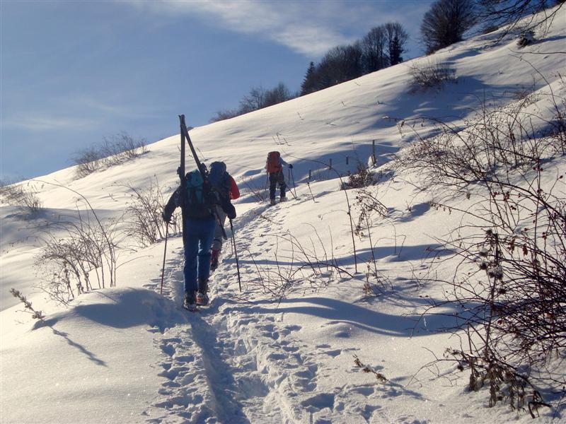 Pointe de la Gallopaz : Près des chalets de la Buffaz