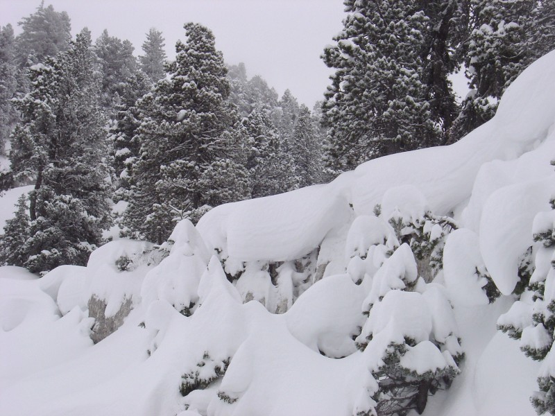 Sur le GR9 : entre la cabane de Belfont et le prayet