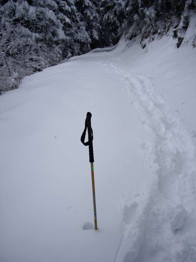 La piste forestière : Les batons c'est du 145cm !!!