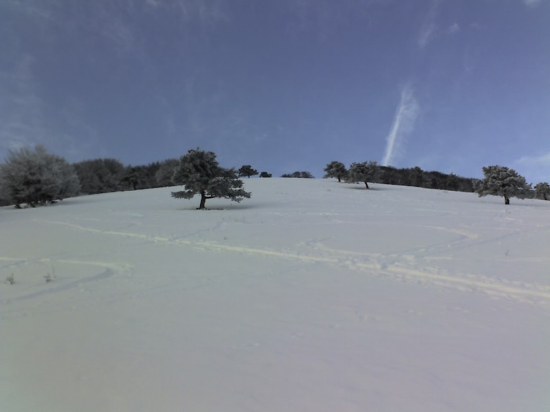 sortie du brouillard : enfin sortie du brouillard