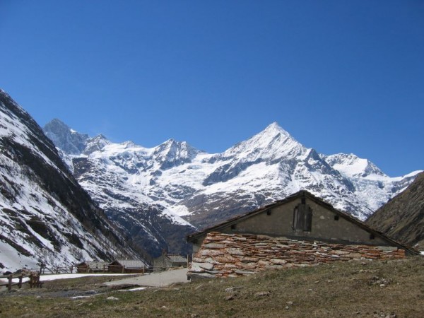 Weisshorn : Le Weisshorn vu depuis Täschalp