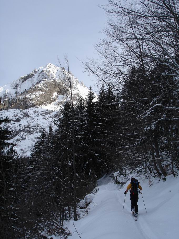 Sentier forestier : Dans la traversée au dessus des Lanches