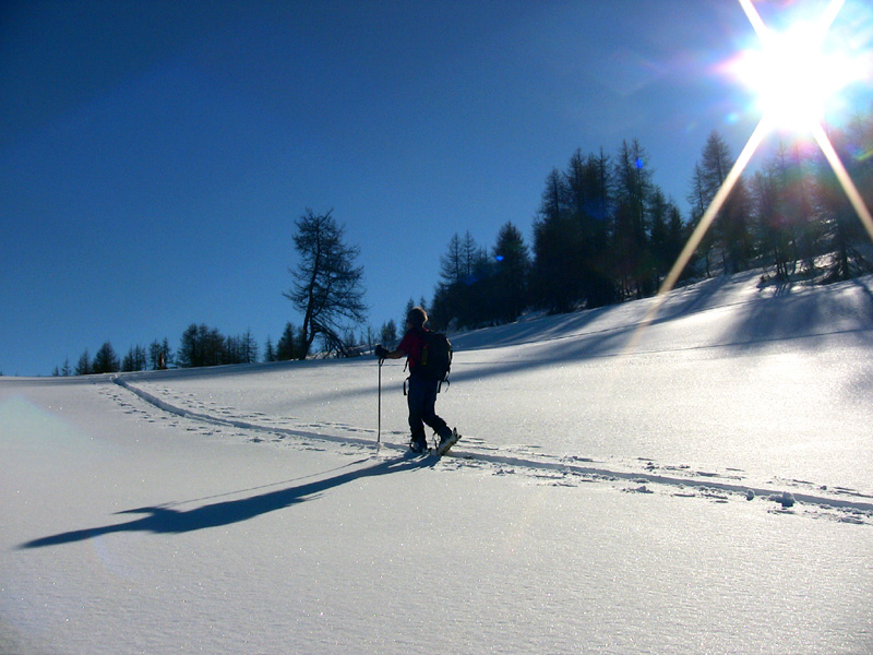 Sous le Pommier : Belle trace, neige encore légère