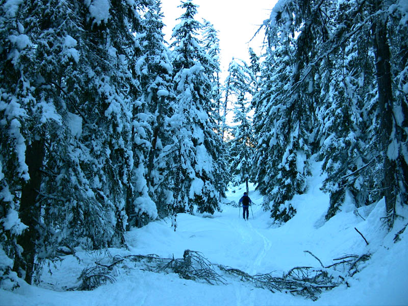 Départ Vallon du chaudan : Super enneigement, 1,20m à partir de 1300m