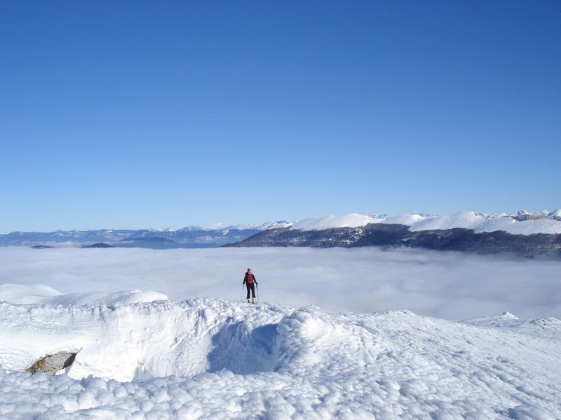 Sommet du Touleau : Au fond le Mt Blanc !