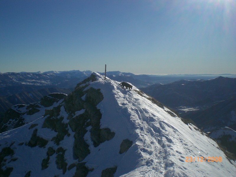 sommet de la grande Cloche : Au loin, on perçoit le Dignois.