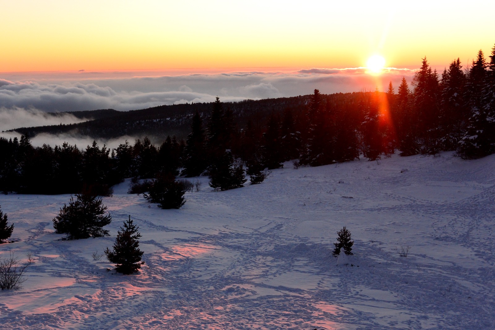 Picture of the hike