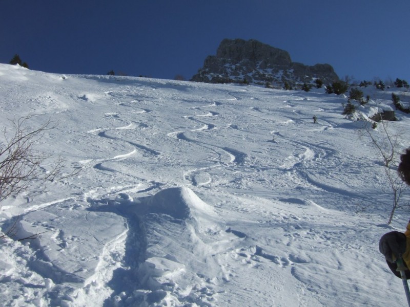 Mt Charvet : Bas de la combe en descendant vers le chemin de la Bombardellaz: bonne poudre