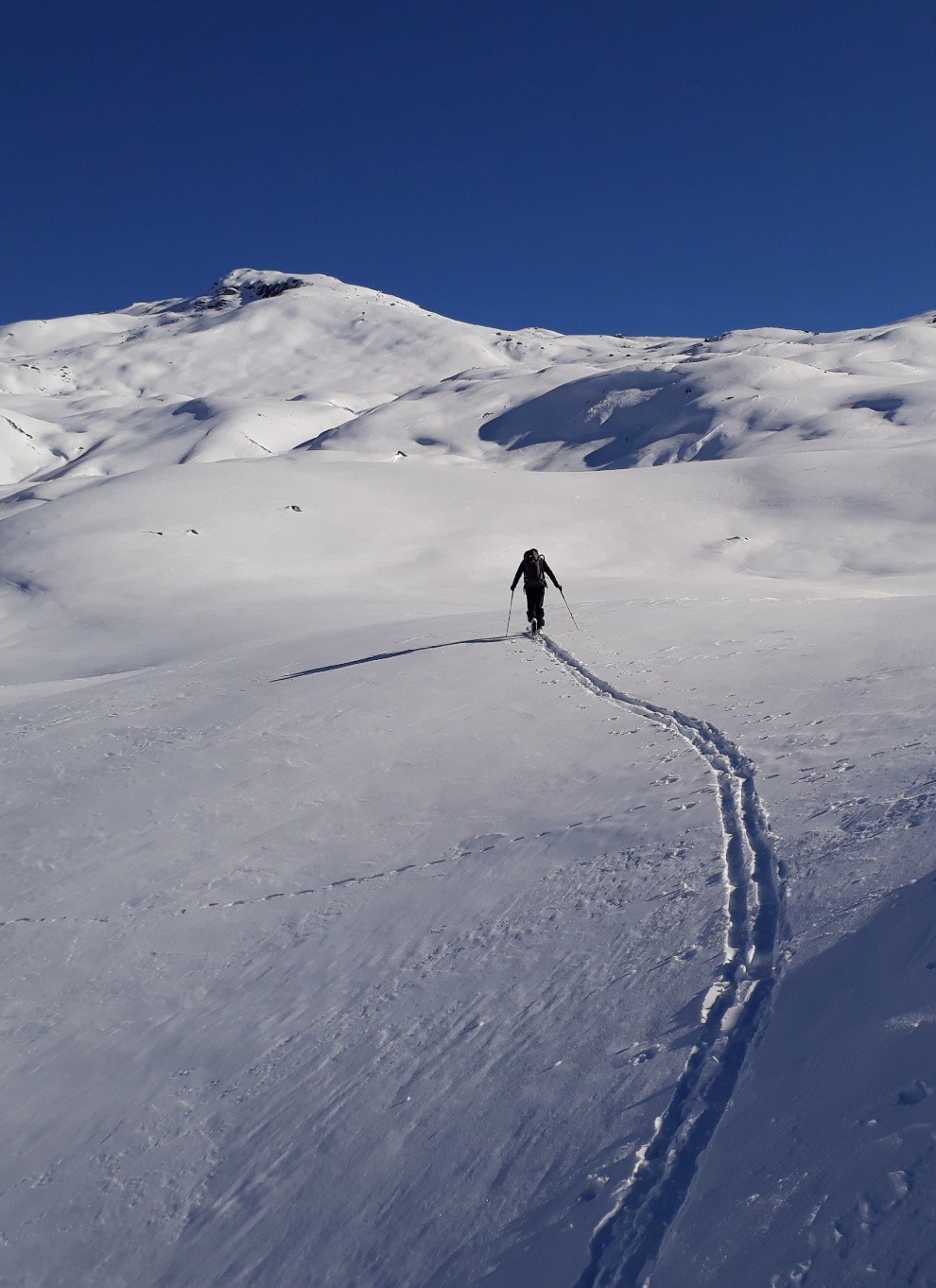 Picture of the hike