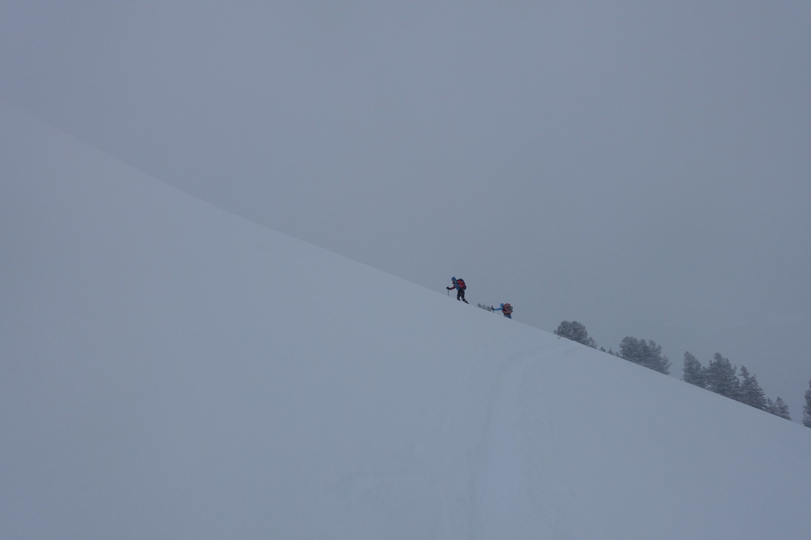 Sur la crête sommitale