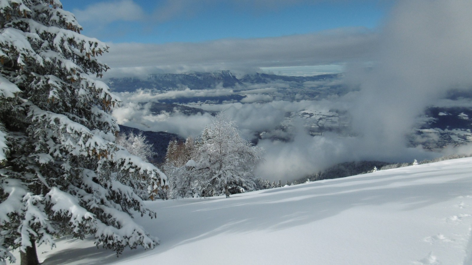 Picture of the hike