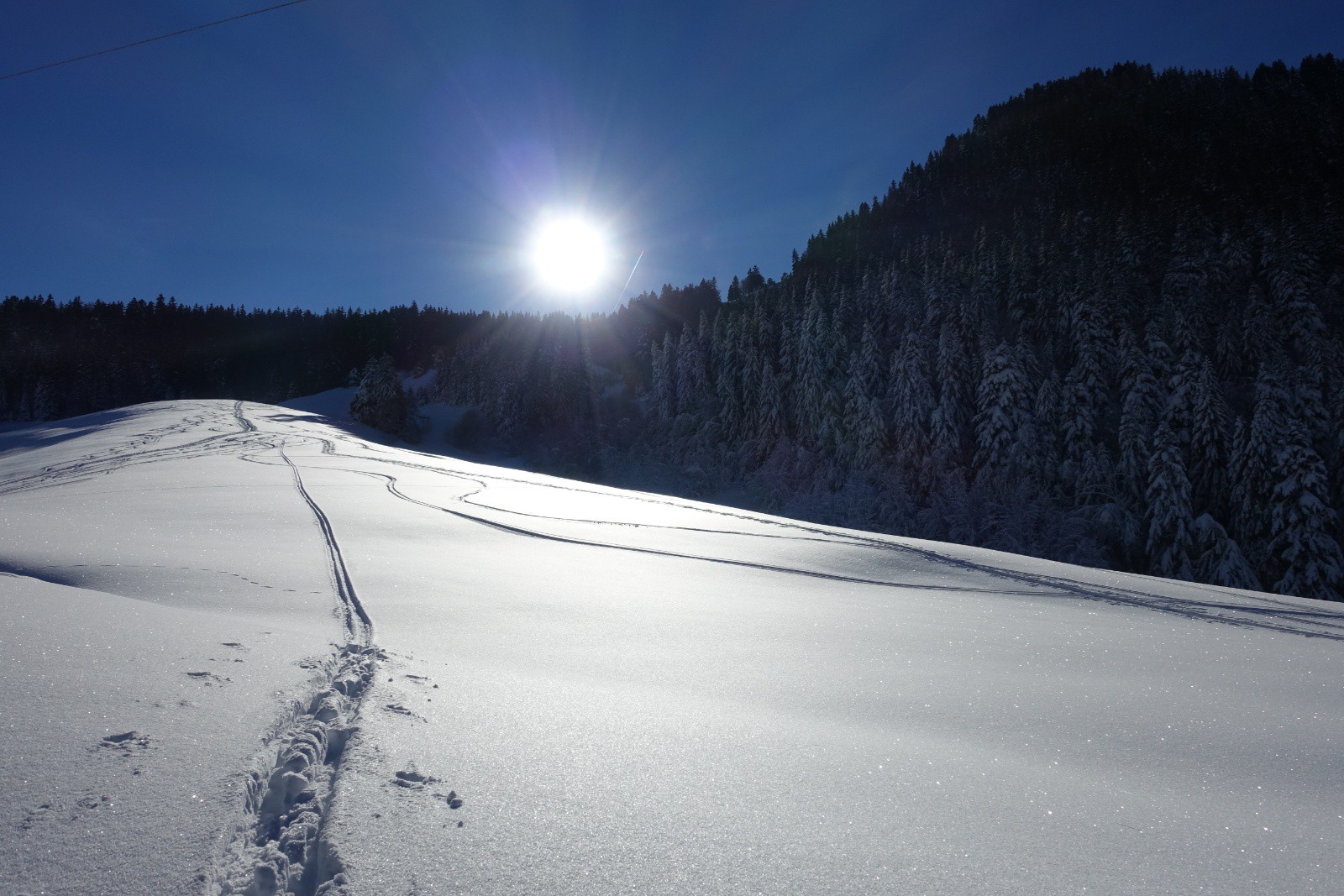 Picture of the hike