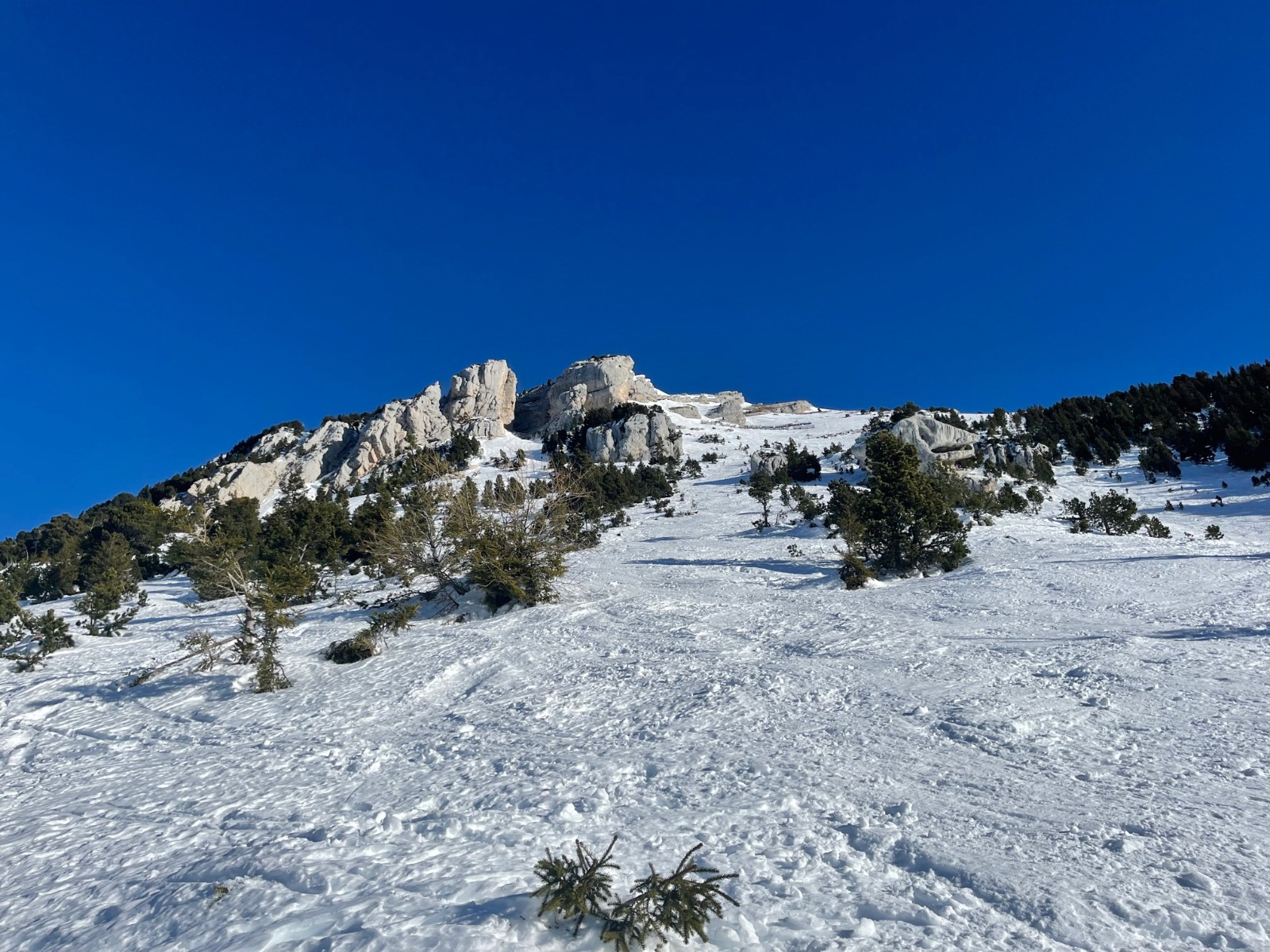 Picture of the hike