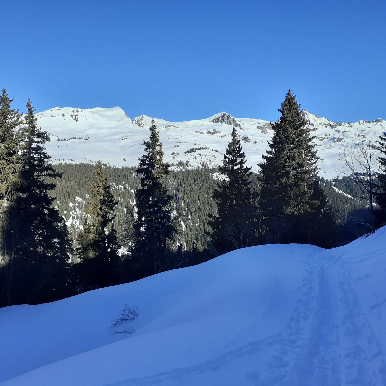 Fin de la première montée avant la descente sur Plan Bérard, sommet en vu mais c'est encore loin