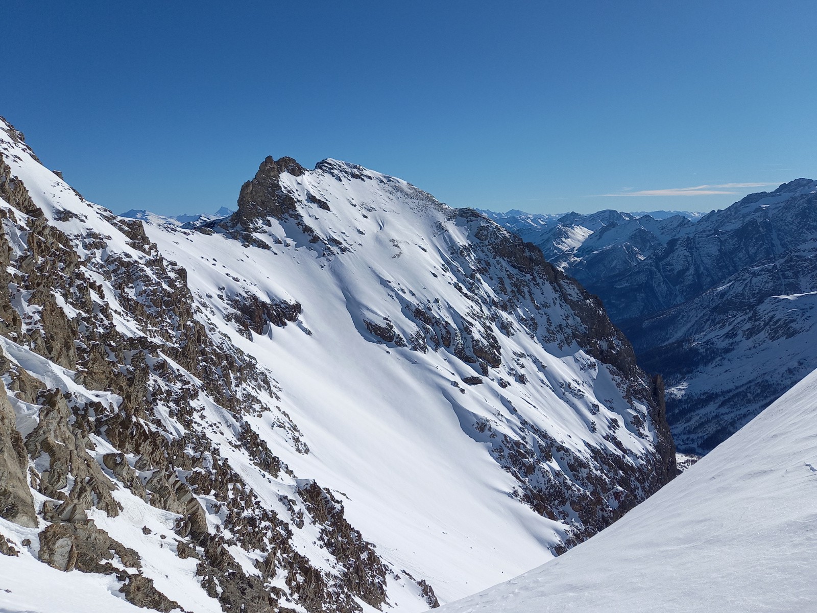 #14 Tête de Colombe Tête de Colombe