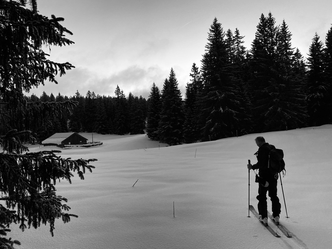 Picture of the hike