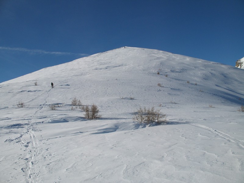 Montée finale : pour une fois qu'il y a de la neige et qu'elle n'est pas tôlée