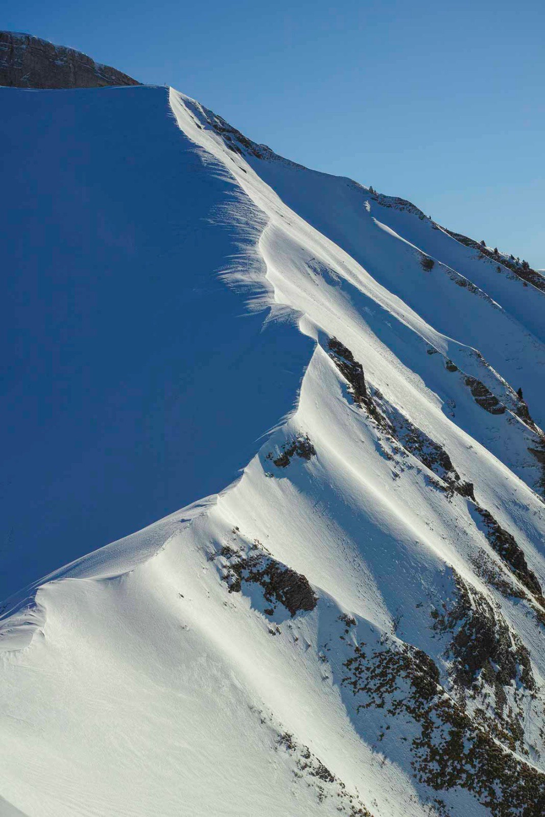 Chaux du Mont (face S skiée ce matin)