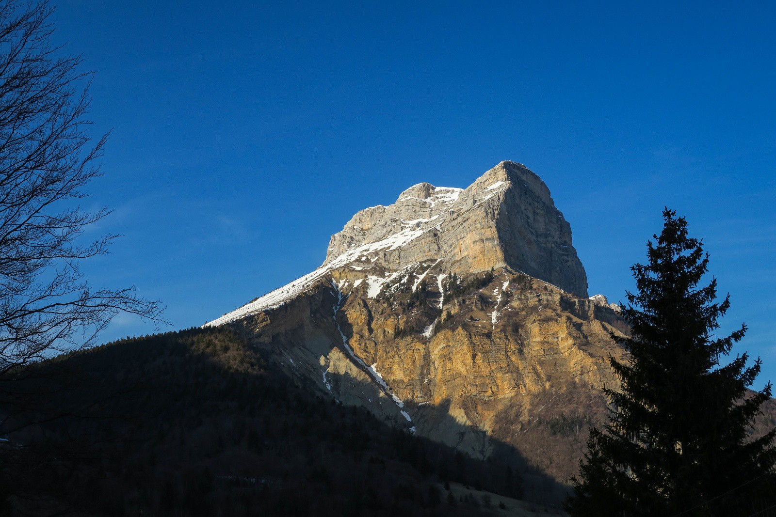 Au revoir madame !&nbsp;