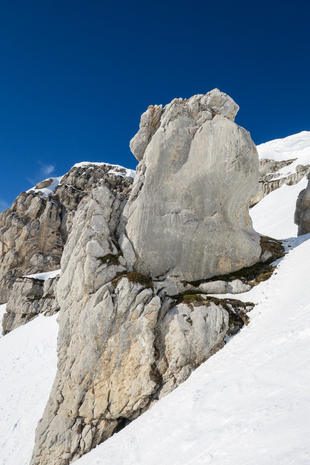 L'oeille se prend pour un pied !&nbsp;