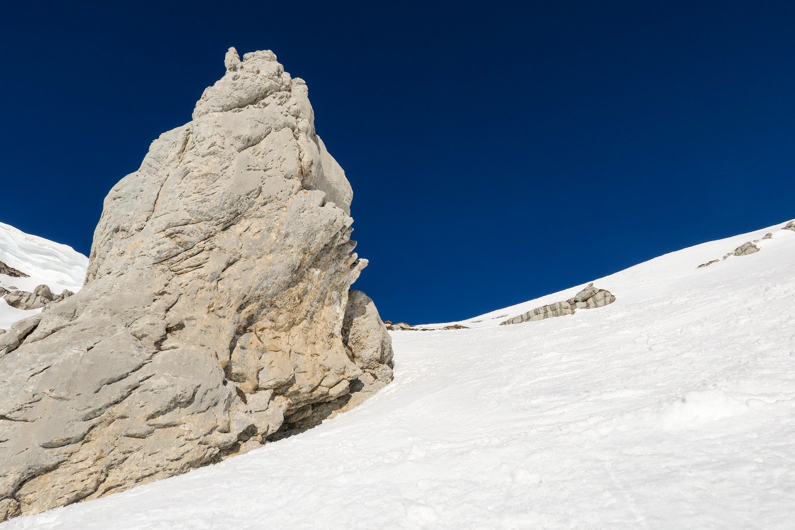 Superbe moquette !&nbsp;