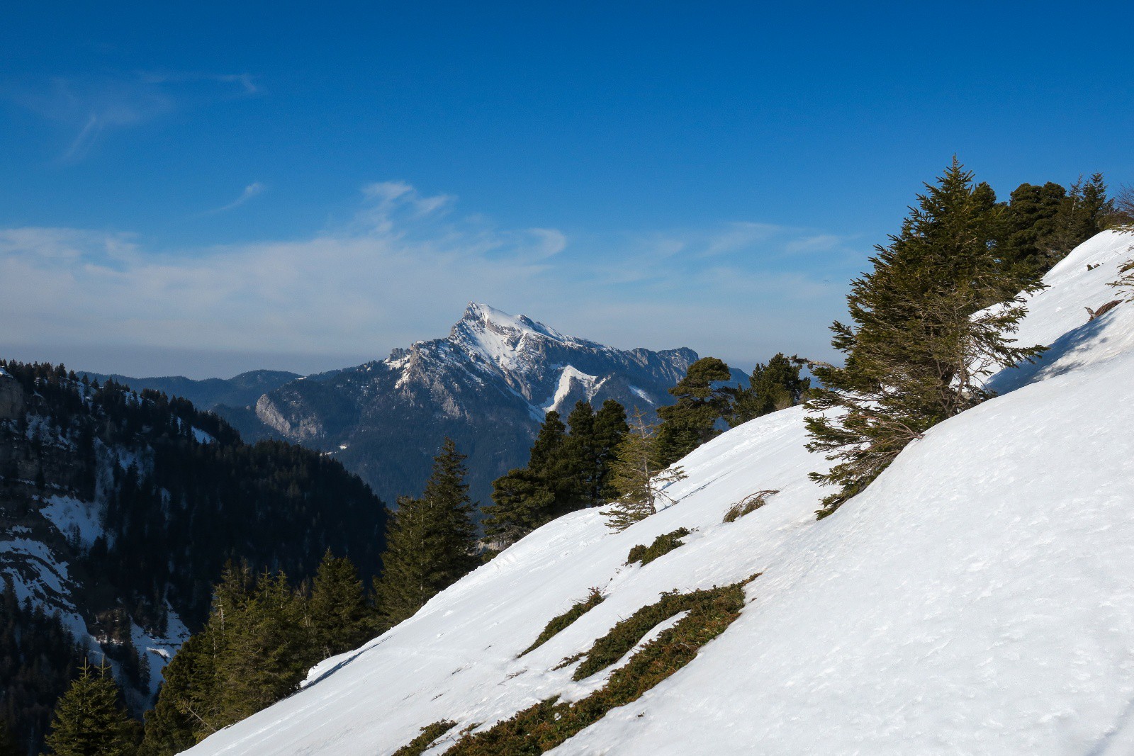 Un Grand Som !&nbsp;