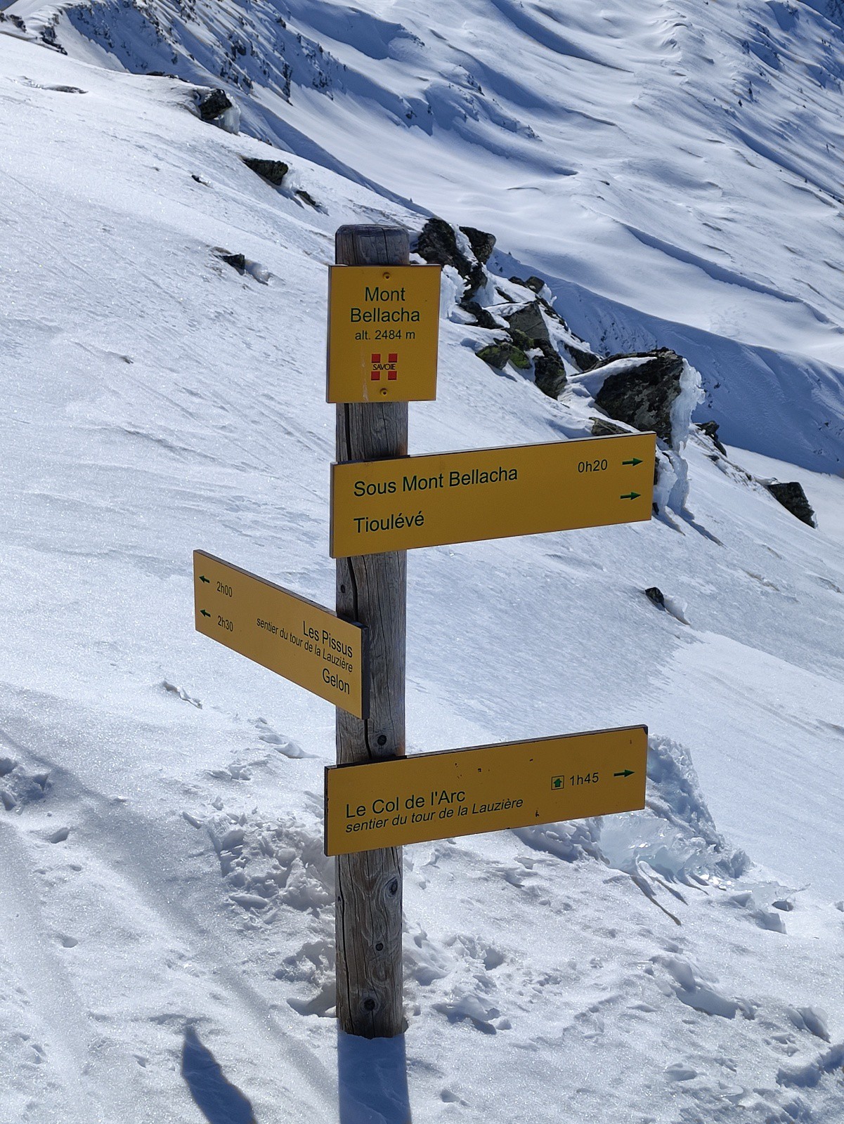 #20 Bellacha Bellacha