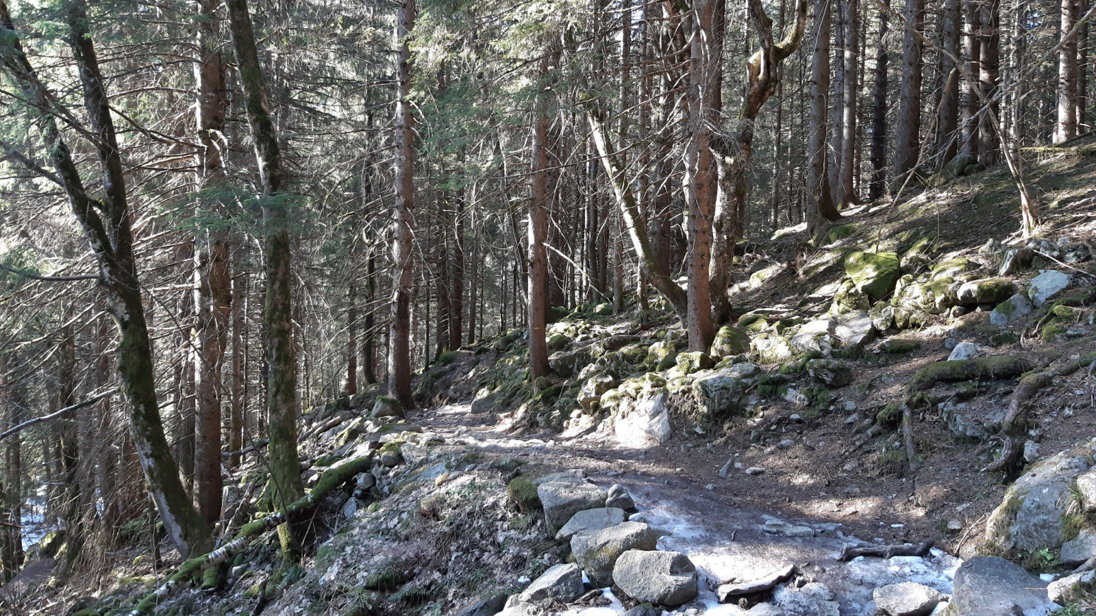 Un petit sentier glissant en forêt pour terminer