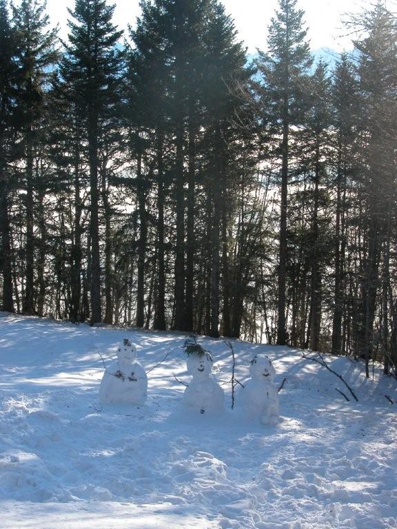 Bonhommes de neige : Ils sont pas beaux ?