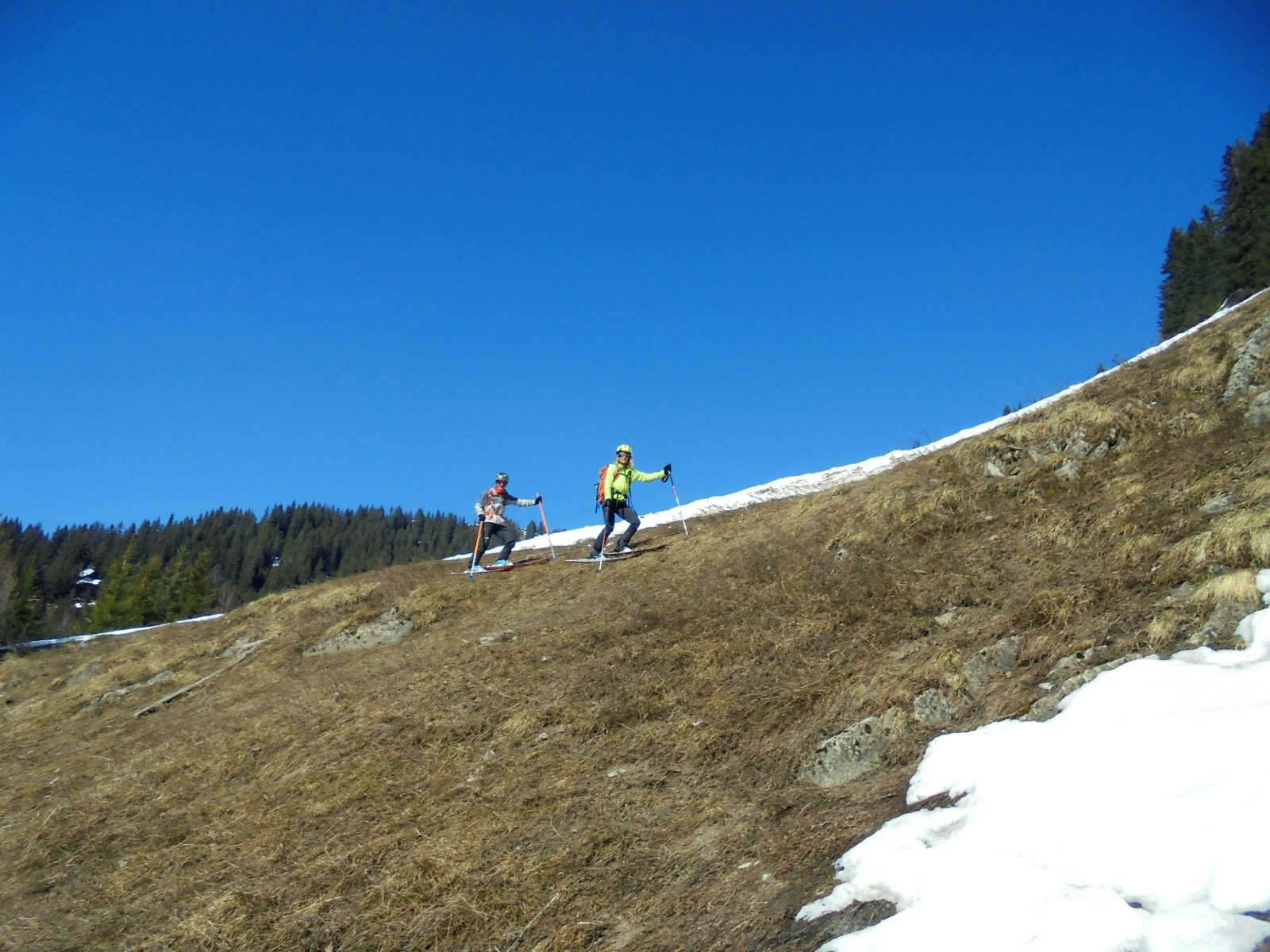 starlettes sur l'herbe&nbsp;