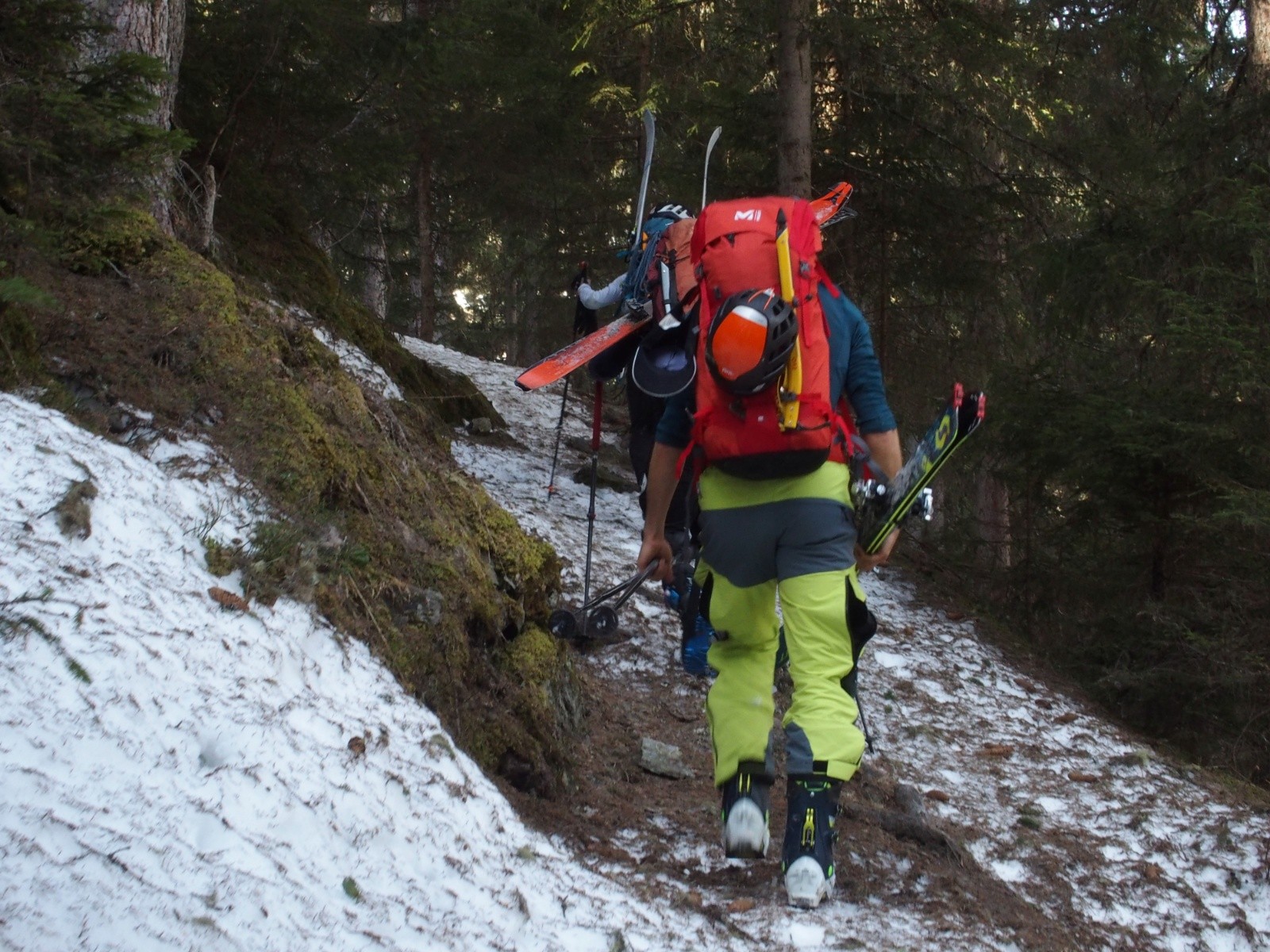  La galère dans la forêt