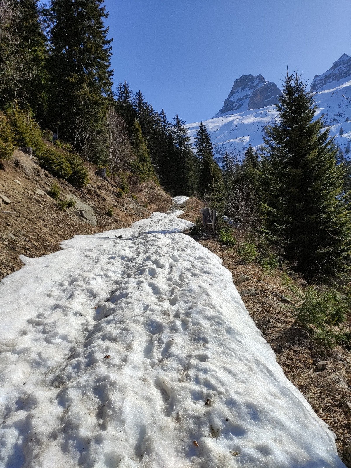 bois de plattuy, c'est parti&nbsp;