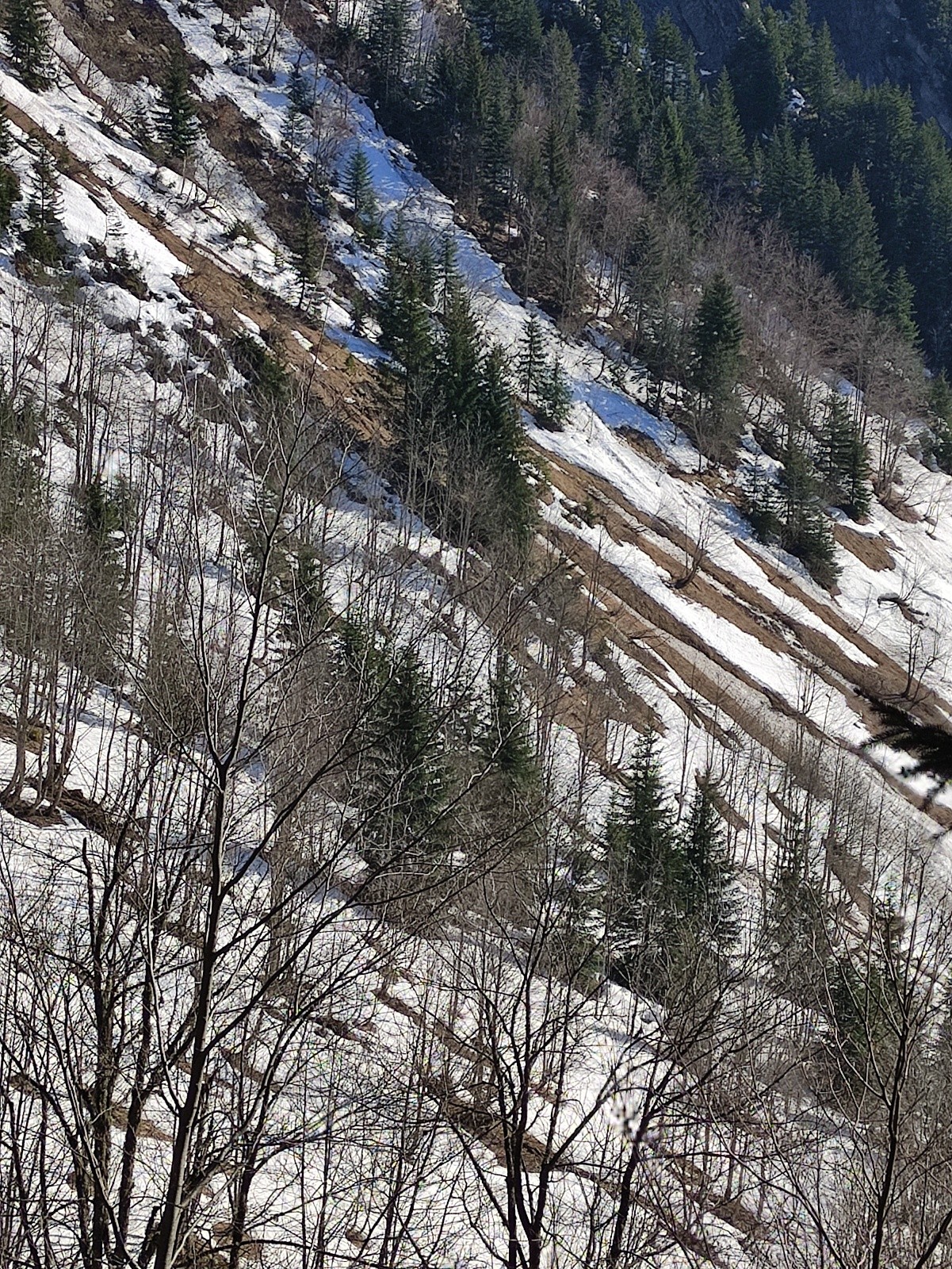 couloir rive gauche pour parking des troncs, ca passe&nbsp; difficilement