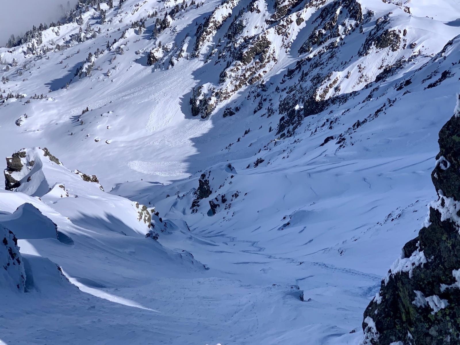 Miam grosse poudre froide en vue