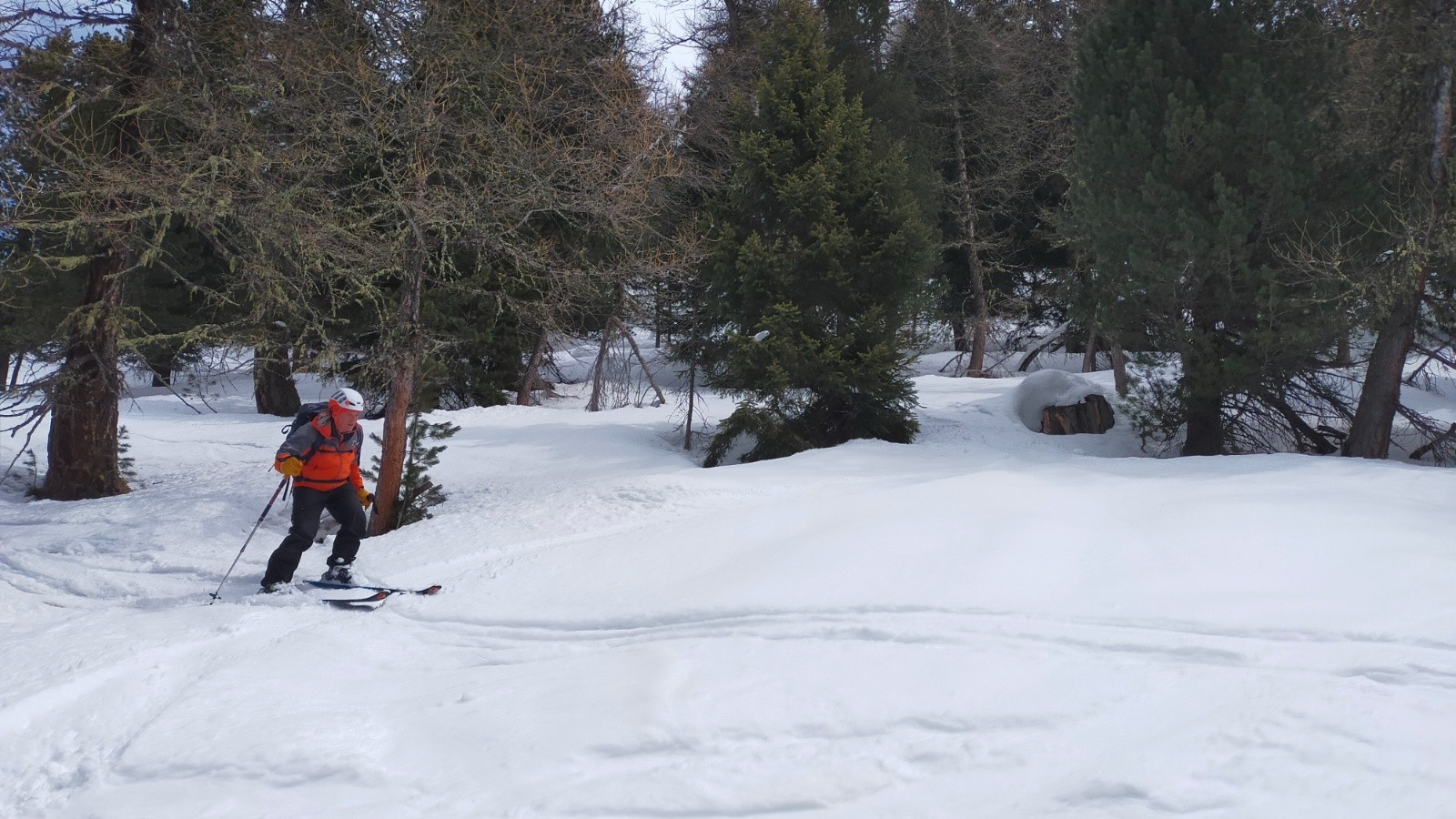 Ski en forêt pour rejoindre le chemin qui ramène aux pistes en transfo bien lourde 