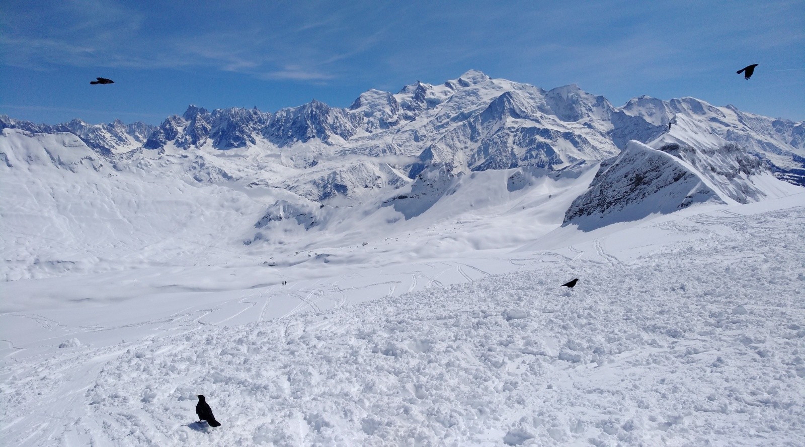 On pourrait presque croire qu'il n'y a pas de vallées entre le désert de Platé et le massif du Mont-Blanc...