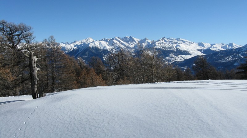 A la sortie de la forêt : grand ciel bleu!