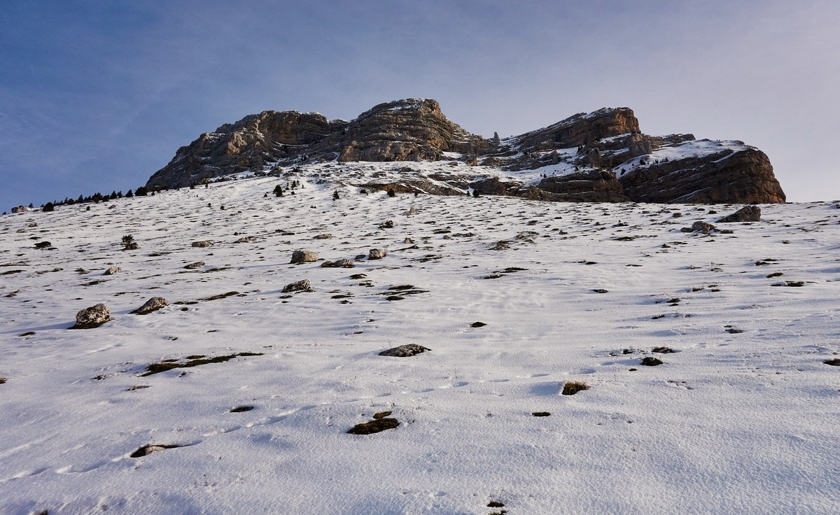 Les requins bien en évidence...