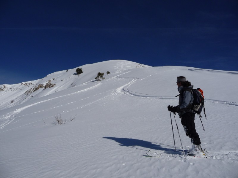 Trace Chine : Descente sous l'antècime de chine, bonne neige